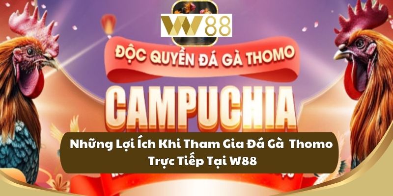 Những Lợi Ích Khi Tham Gia Đá Gà Thomo Trực Tiếp Tại W88