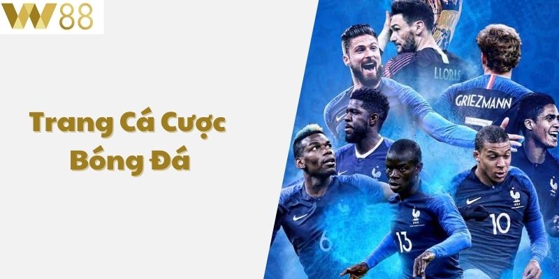 Trang cá cược bóng đá