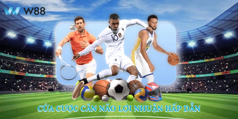 Cửa Cược Cân Não, Lợi Nhuận Hấp Dẫn